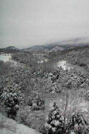 The snowy landscape view out of our hotel room in Pounding Mill, Virginia.